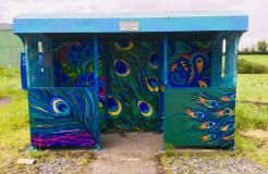 images/allShelters/Peacock-8-.png